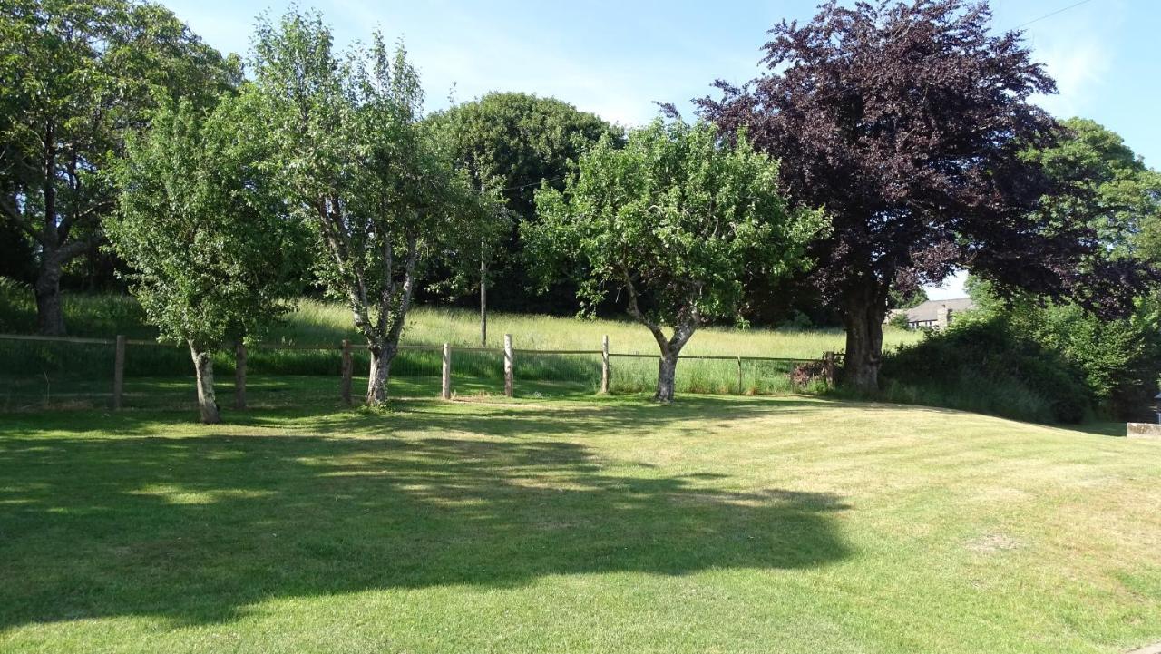 Apartamento The Annex At Middle Filham, Ivybridge Exterior foto